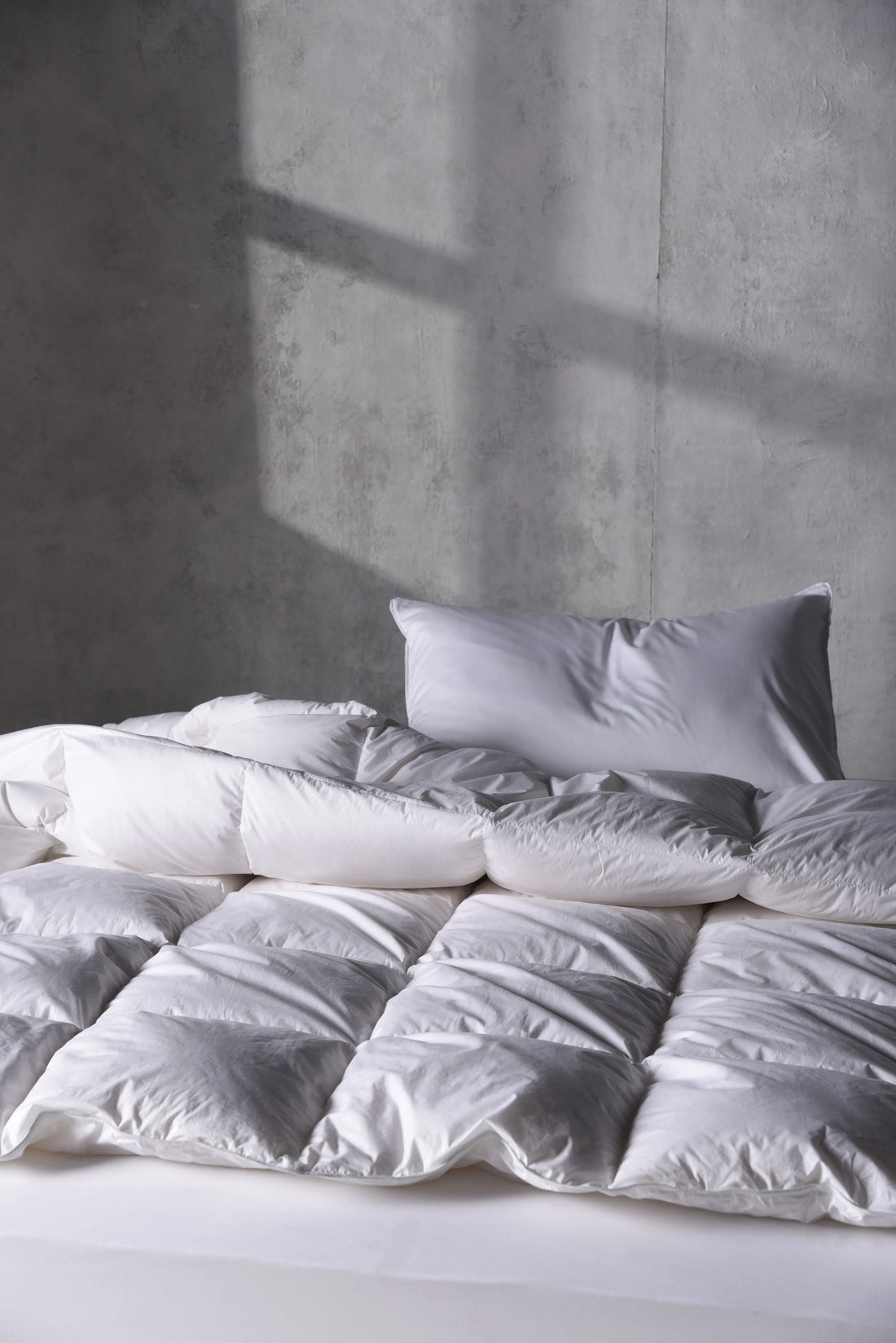 Plumón Duvet Premium 850FP