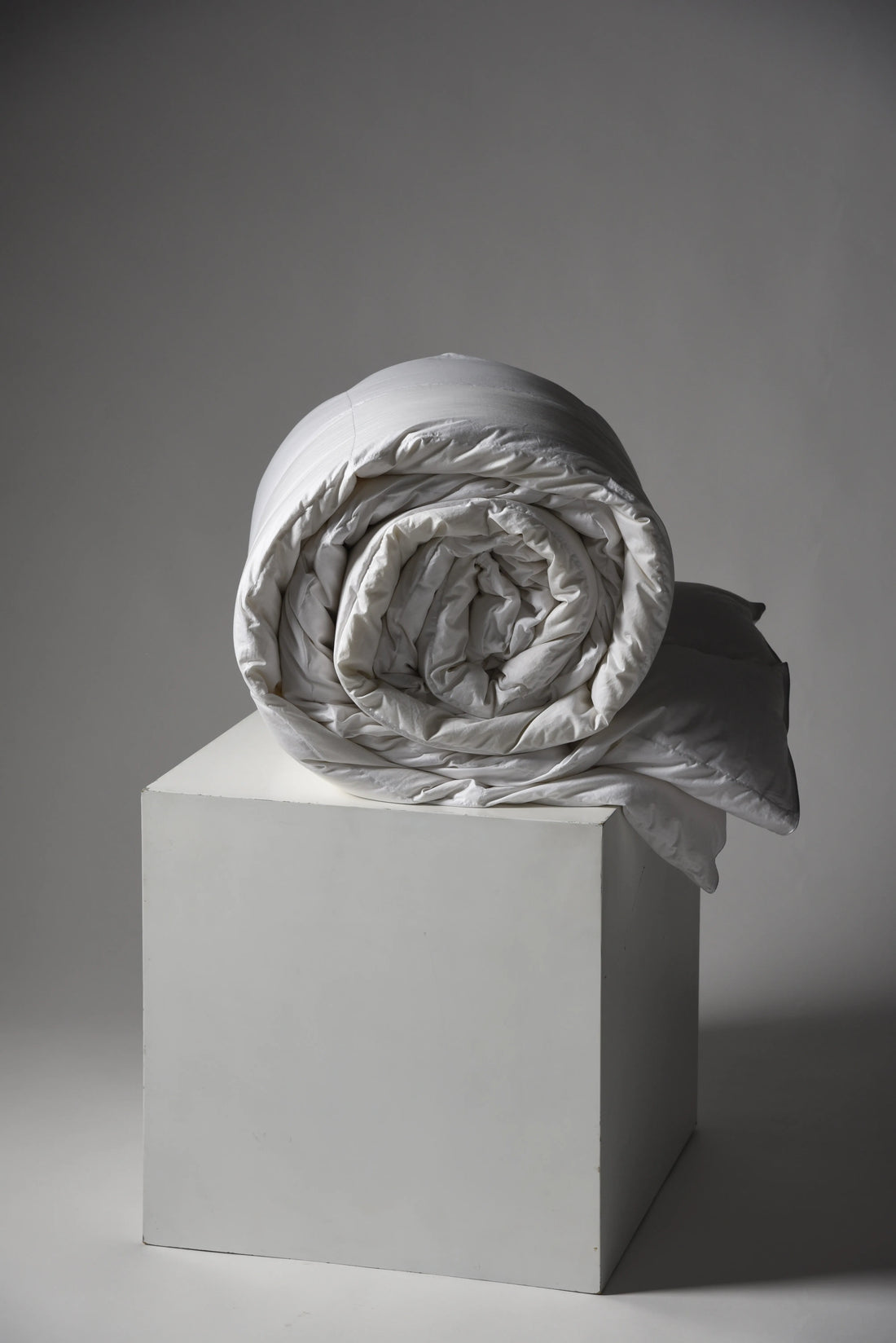 Plumón Duvet Classic 750FP